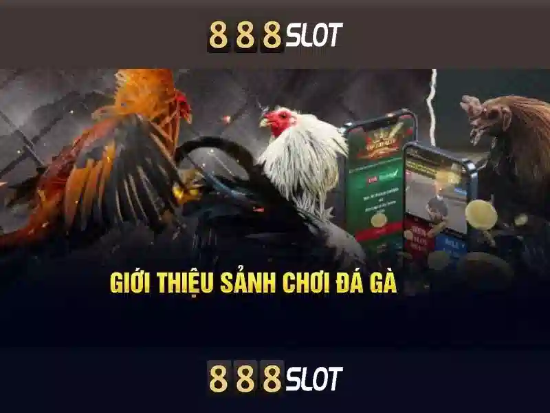 888slots seriös - Tổng quan uy tín và trải nghiệm đẳng cấp