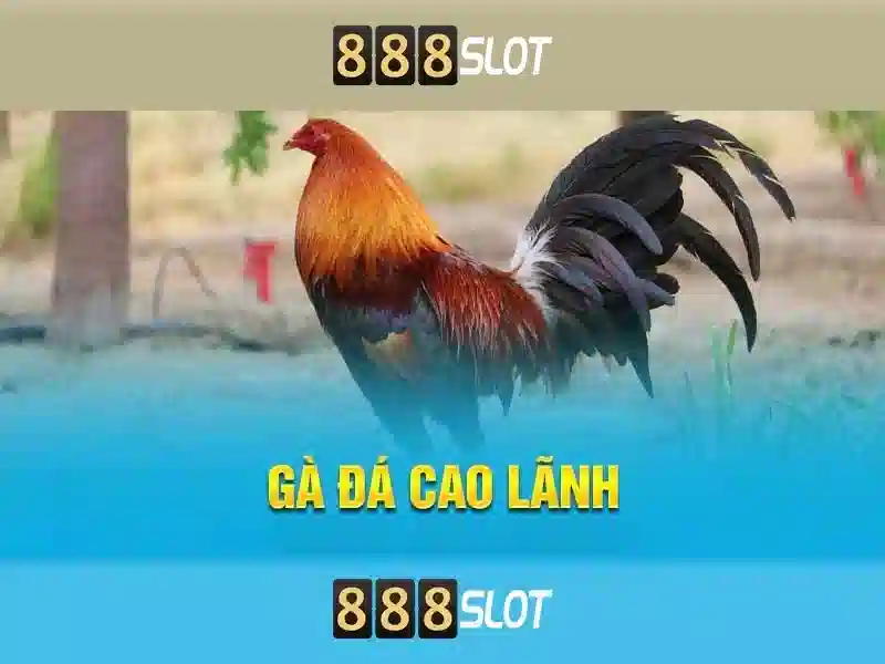 888slot: trải nghiệm casino slot trực tuyến đáng tin cậy