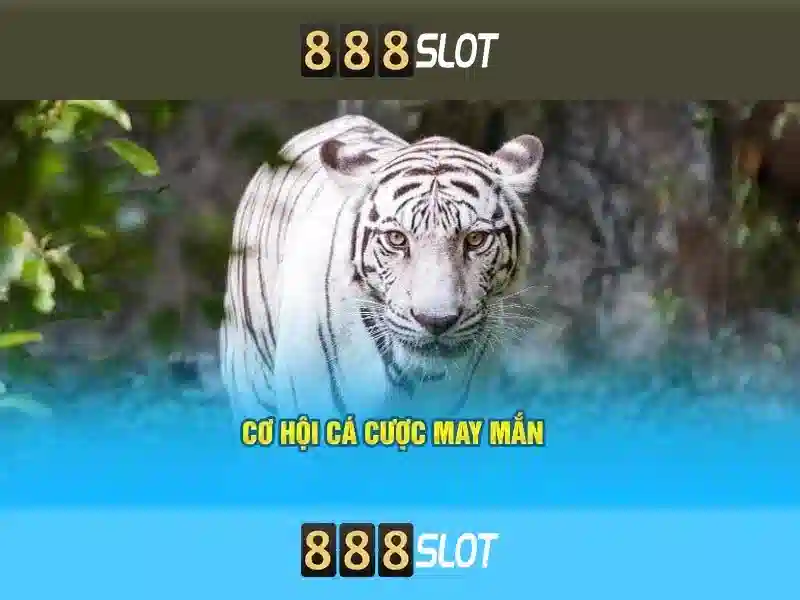 An toàn và bảo mật