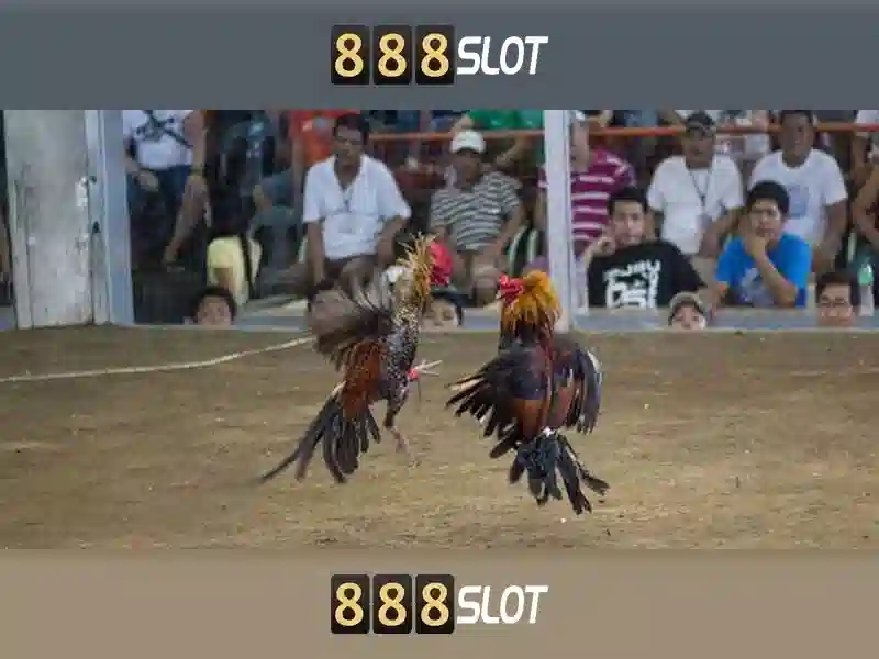 888 slot com – Khám phá nền tảng và giá trị thương hiệu