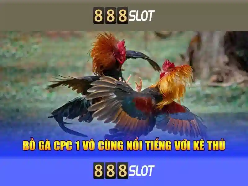 888slot download – Khám phá trải nghiệm và giá trị thương hiệu