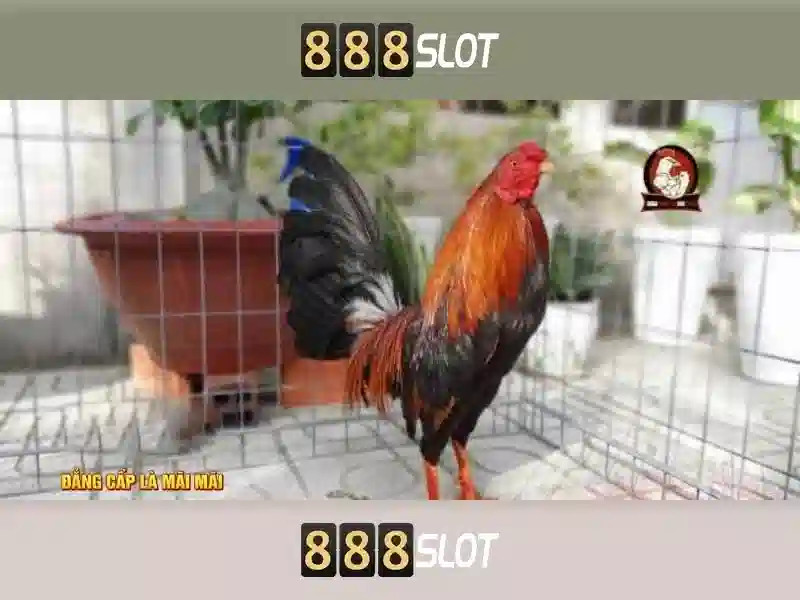 888slot: Tổng quan về nền tảng slot trực tuyến