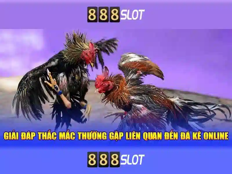 Đăng ký tài khoản và khuyến mãi