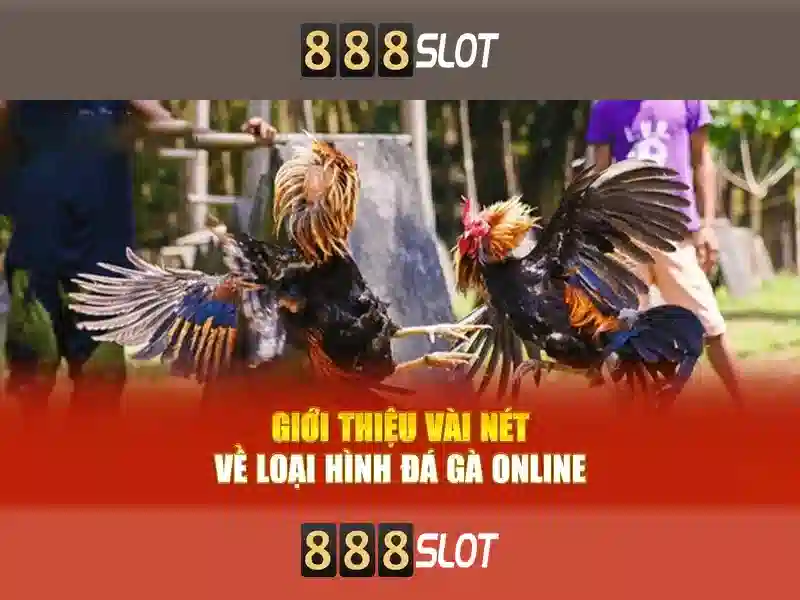 slot 888 bet: Đột phá trải nghiệm cược trực tuyến và thương hiệu vững mạnh