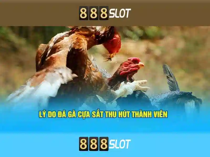 all slot-888: Trải nghiệm toàn diện và đánh giá
