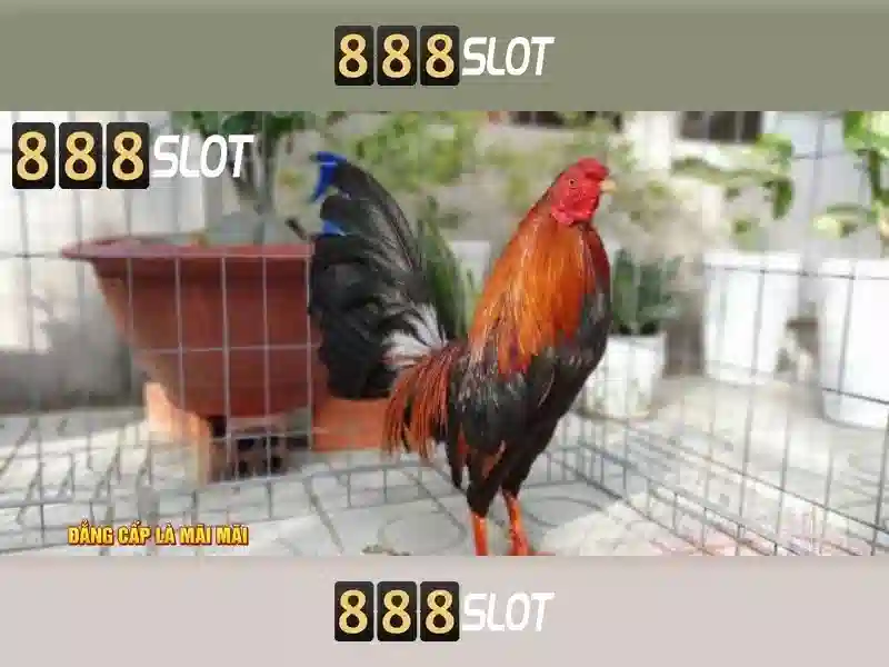 Trò chơi slot đa dạng và tính năng hấp dẫn
