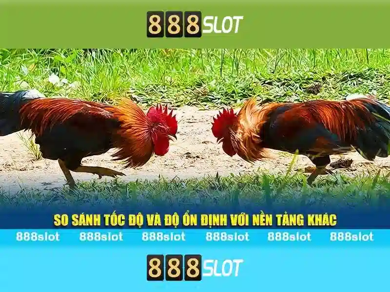 Hỗ trợ người chơi và đáng tin cậy