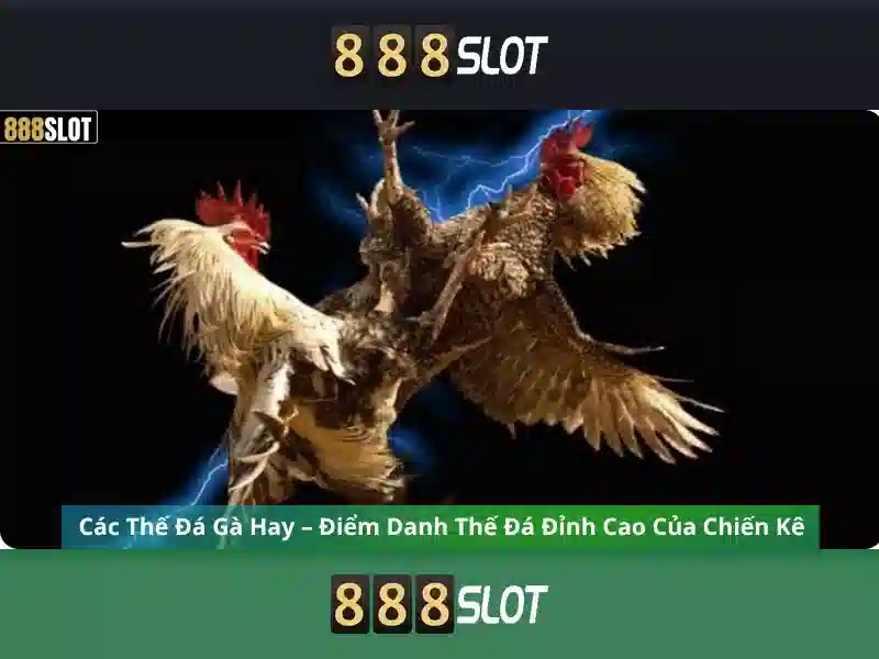 Lợi ích khi chơi tại 888slot