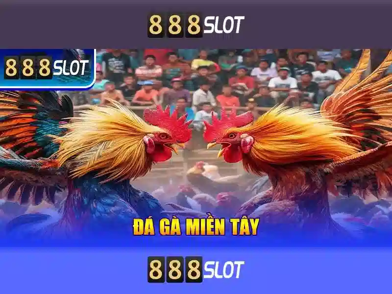 888slot là gì và vì sao nó nổi bật