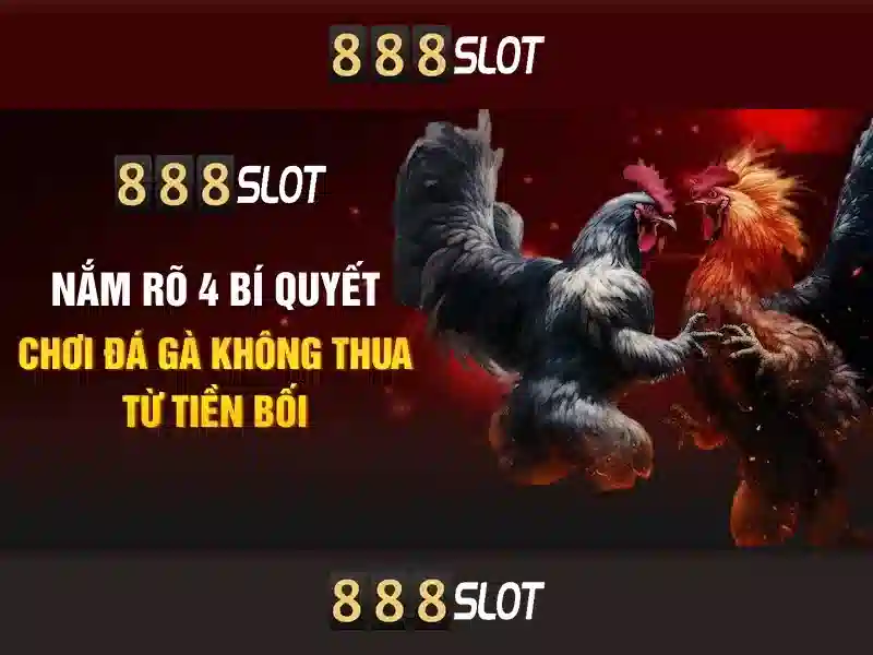 Tính năng nổi bật