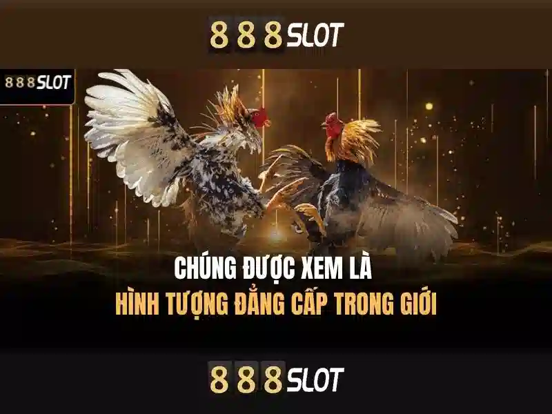 Giới thiệu về 888slot