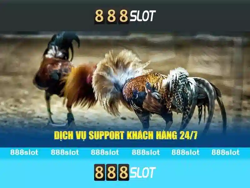 888slot – Nền tảng slot trực tuyến đáng tin cậy\n\n<h2><b>Khuyến mãi và thanh toán</b></h2>\n<p><span style=