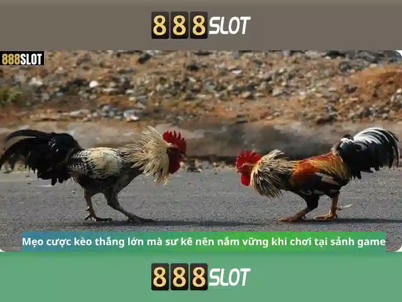 888slot: Tổng quan và Trải nghiệm nền tảng Slot trực tuyến