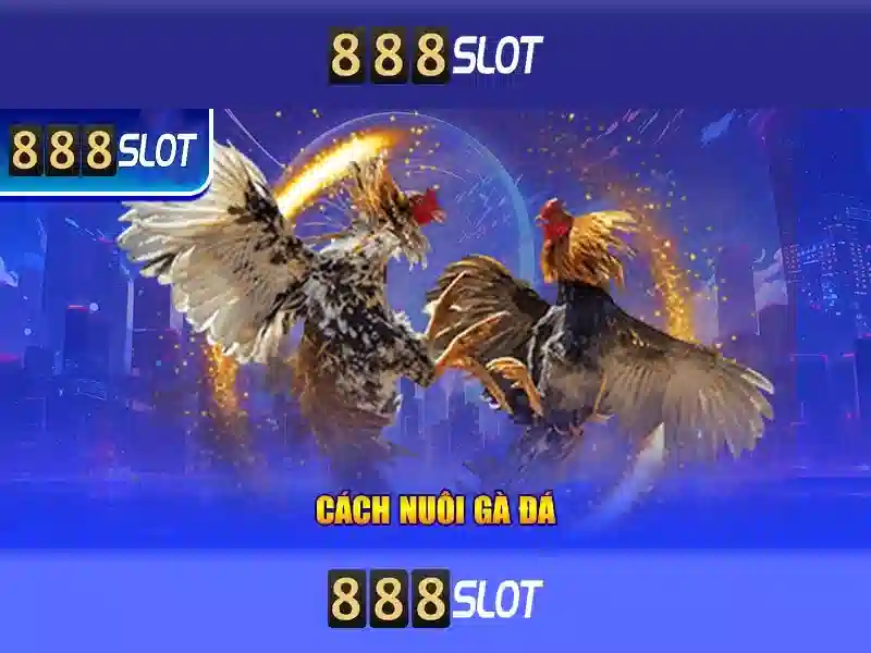 888slot: Nền tảng casino trực tuyến nổi bật
