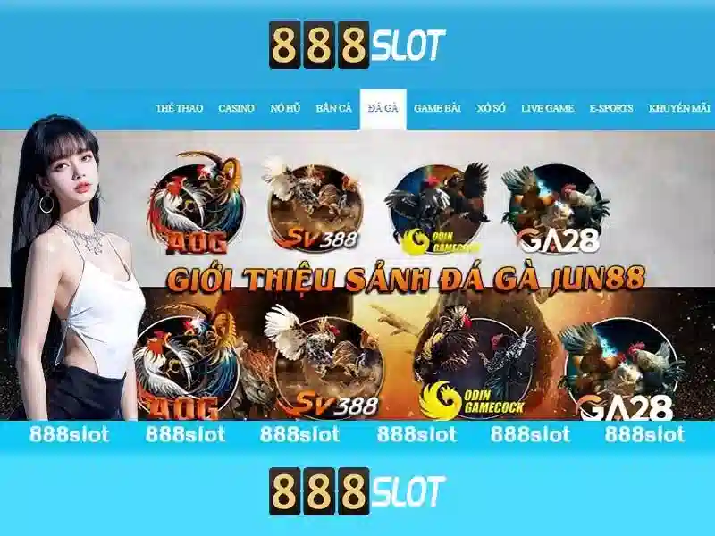 An toàn, thanh toán và hỗ trợ khách hàng
