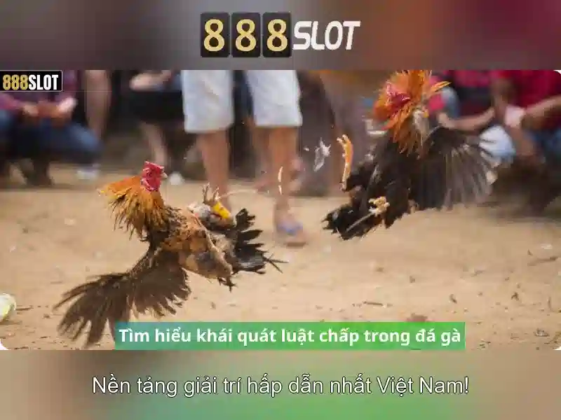 Giao diện người dùng\n