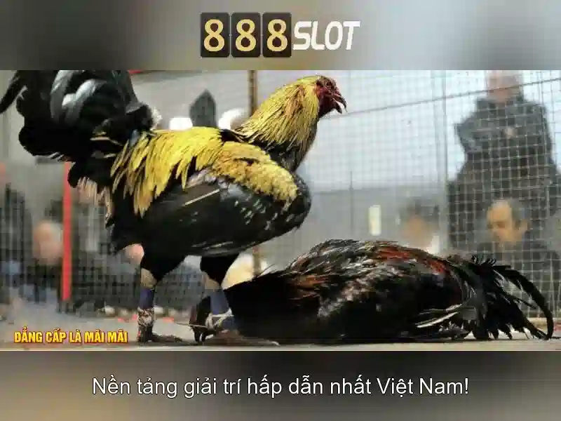 Giao diện và trải nghiệm người dùng