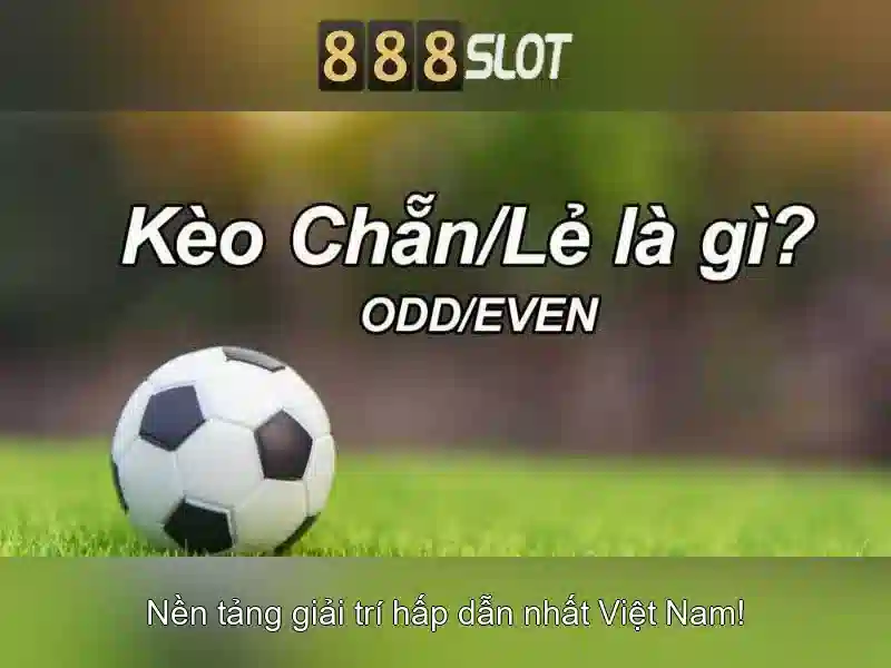 Các trò chơi và trải nghiệm