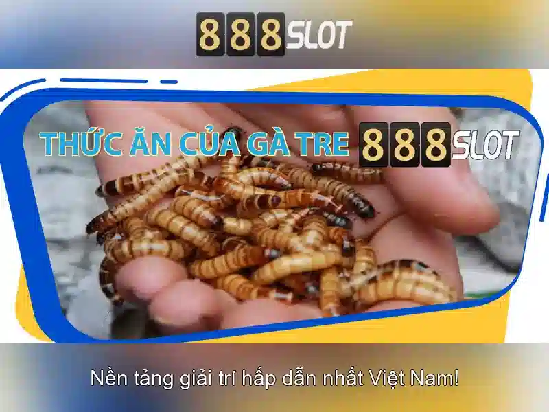 888slot: Đánh giá và hướng dẫn chơi slot trực tuyến