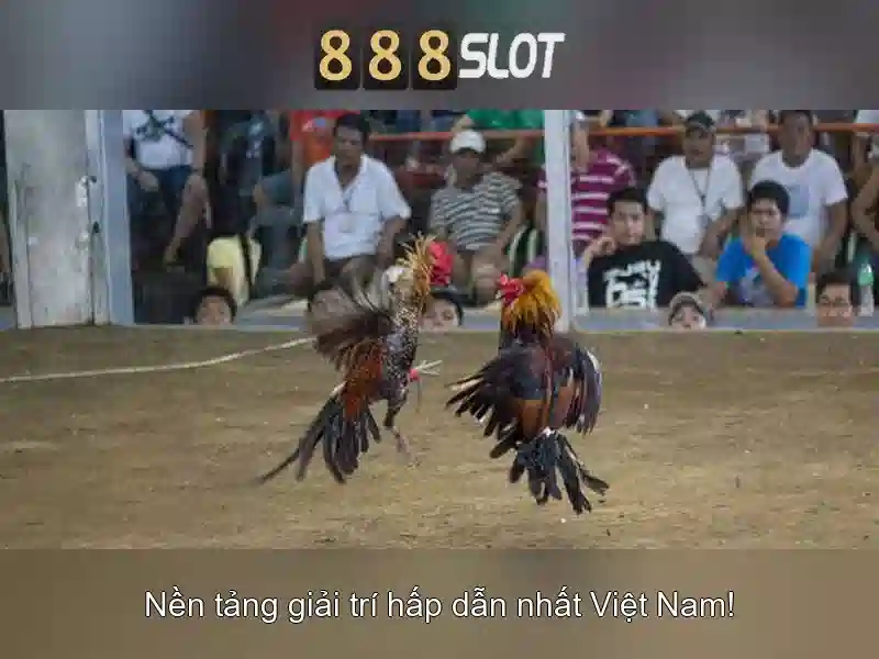 Khuyến mãi và chương trình thưởng