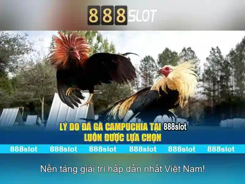 Danh mục trò chơi và slot